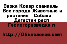 Вязка Кокер спаниель - Все города Животные и растения » Собаки   . Дагестан респ.,Геологоразведка п.